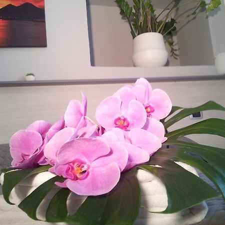 B&B Solimena เนเปิลส์ ภายนอก รูปภาพ