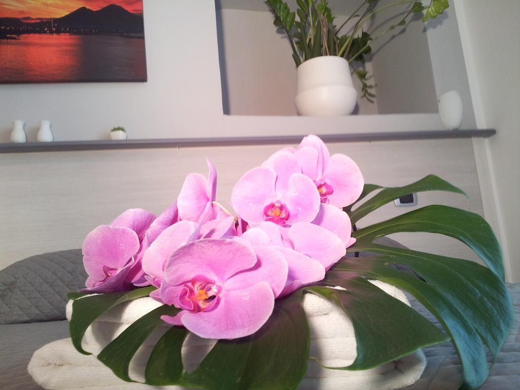 B&B Solimena เนเปิลส์ ภายนอก รูปภาพ